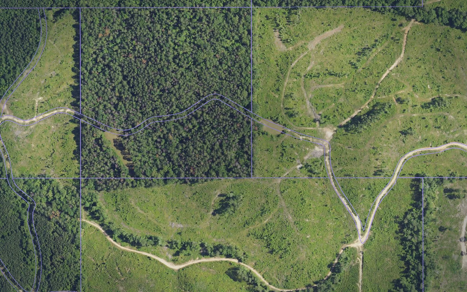 Parcel boundaries over aerial imagery of Choctaw County, Alabama