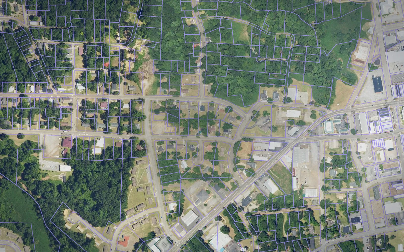 Parcel boundaries over aerial imagery of Dale County, Alabama