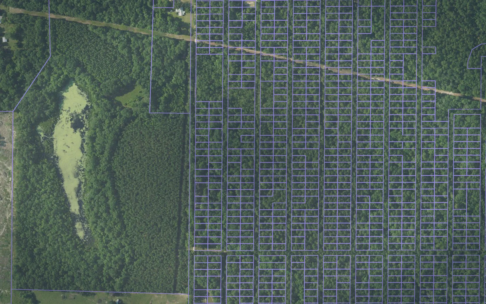 Parcel boundaries over aerial imagery of Geneva County, Alabama