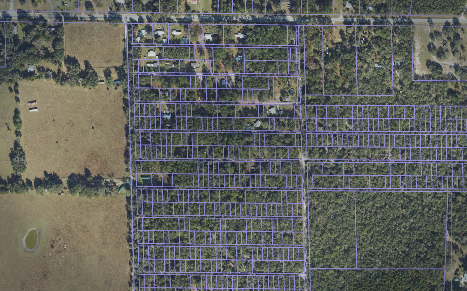 Parcel boundaries over aerial imagery of Dixie County, Florida