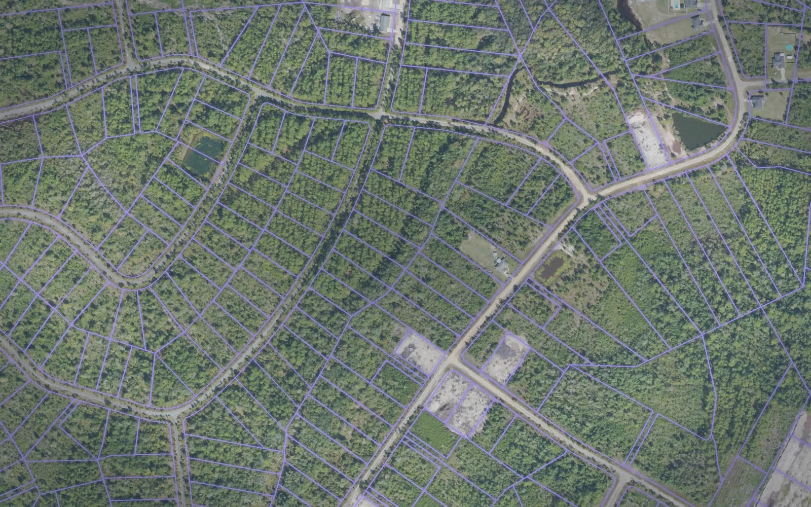 Parcel boundaries over aerial imagery of Brantley County, Georgia
