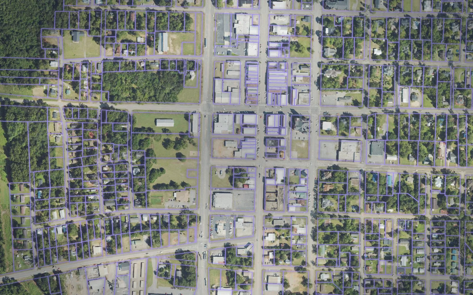 Parcel boundaries over aerial imagery of Terrell County, Georgia