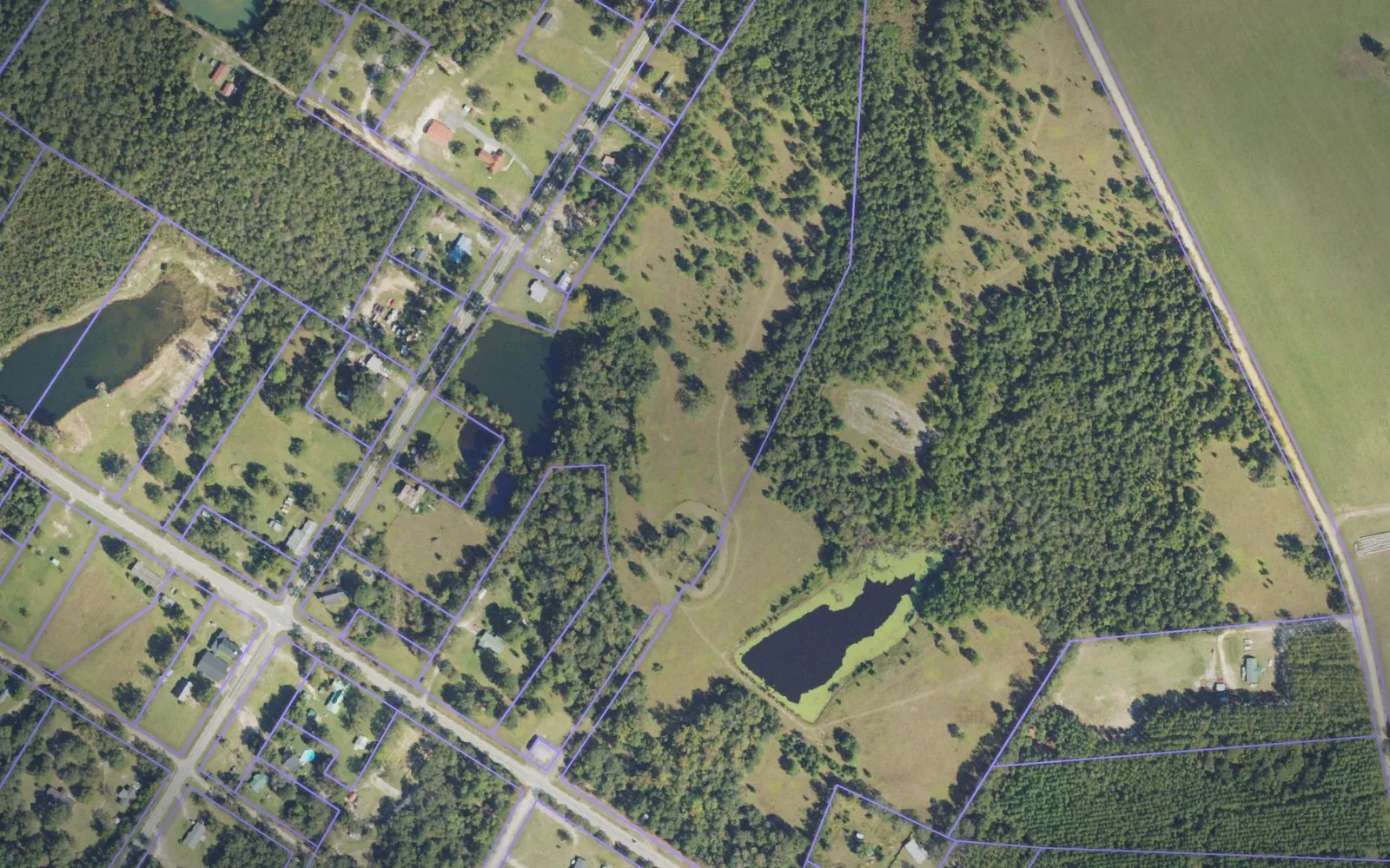 Parcel boundaries over aerial imagery of Treutlen County, Georgia