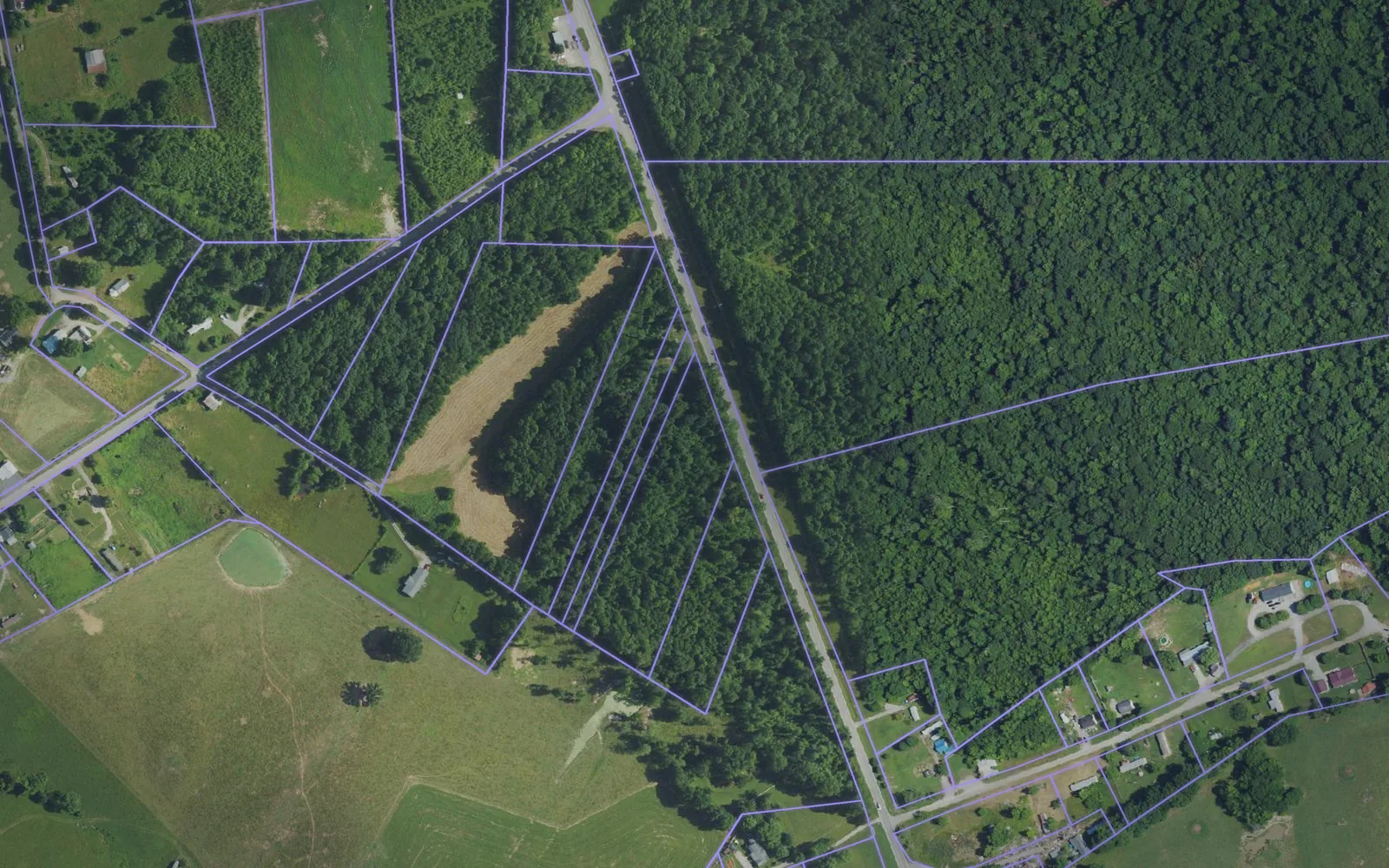 Parcel boundaries over aerial imagery of Clinton County, Kentucky
