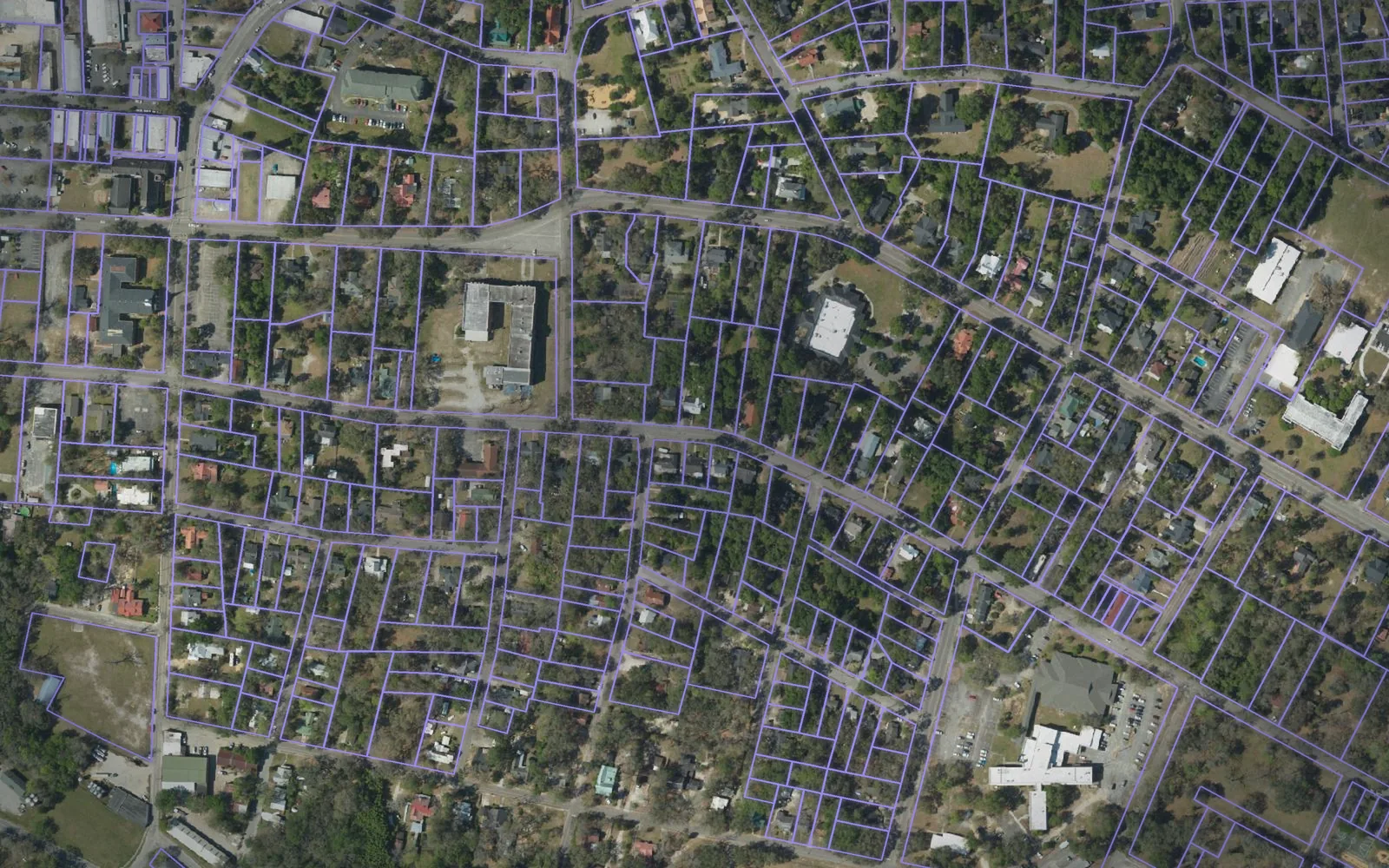 Parcel boundaries over aerial imagery of Colleton County, South Carolina