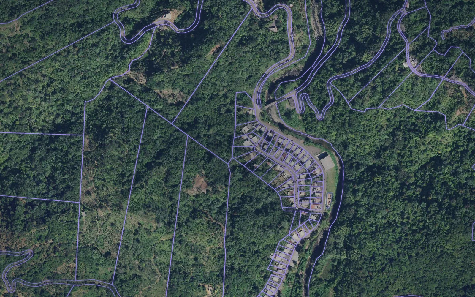 Parcel boundaries over aerial imagery of Maricao Municipio, Puerto Rico